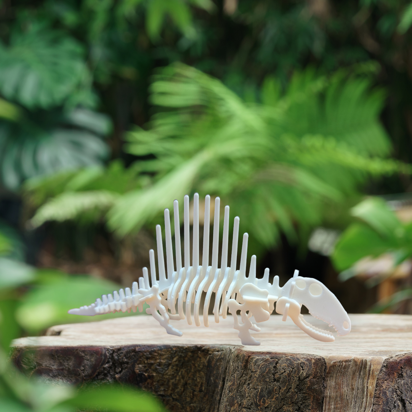 Dimetrodon Skelton Buildable Model