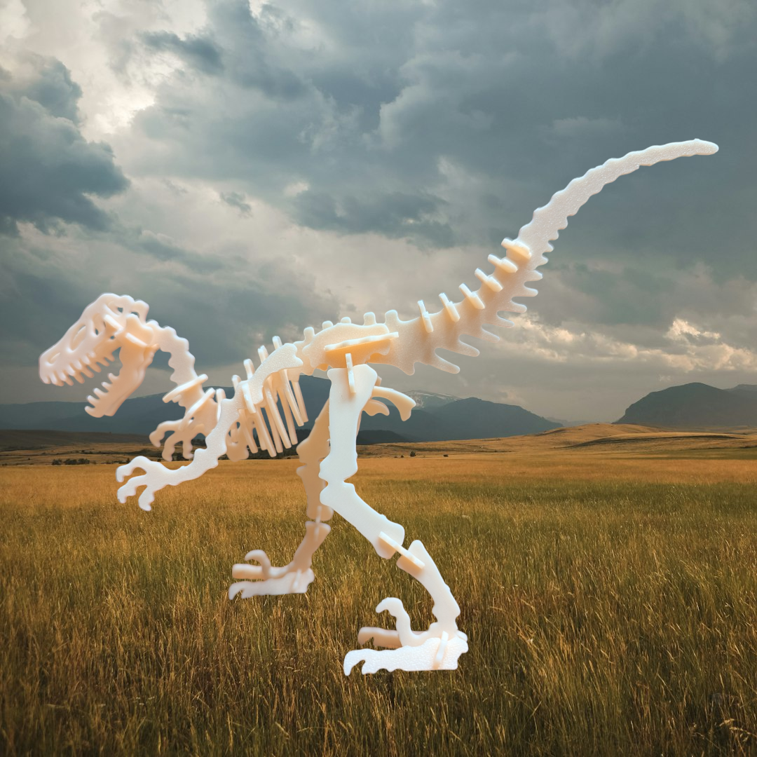 Velociraptor Skeleton Buildable Model