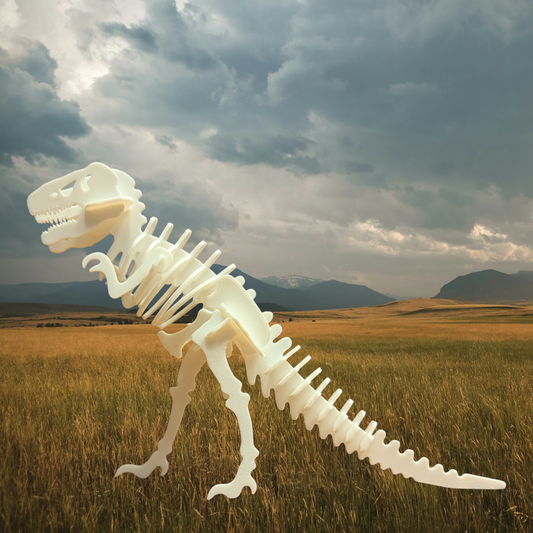 T-Rex Skeleton Buildable Model