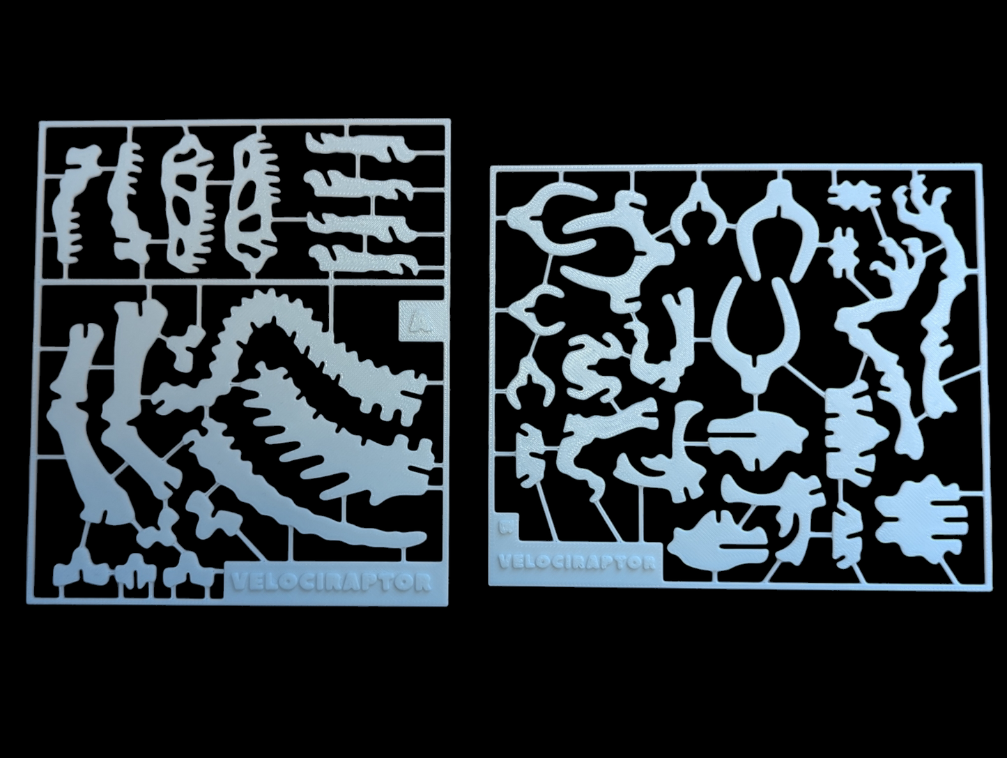 Velociraptor Skeleton Buildable Model